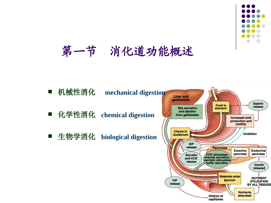 动物生理学 消化生理_第2页