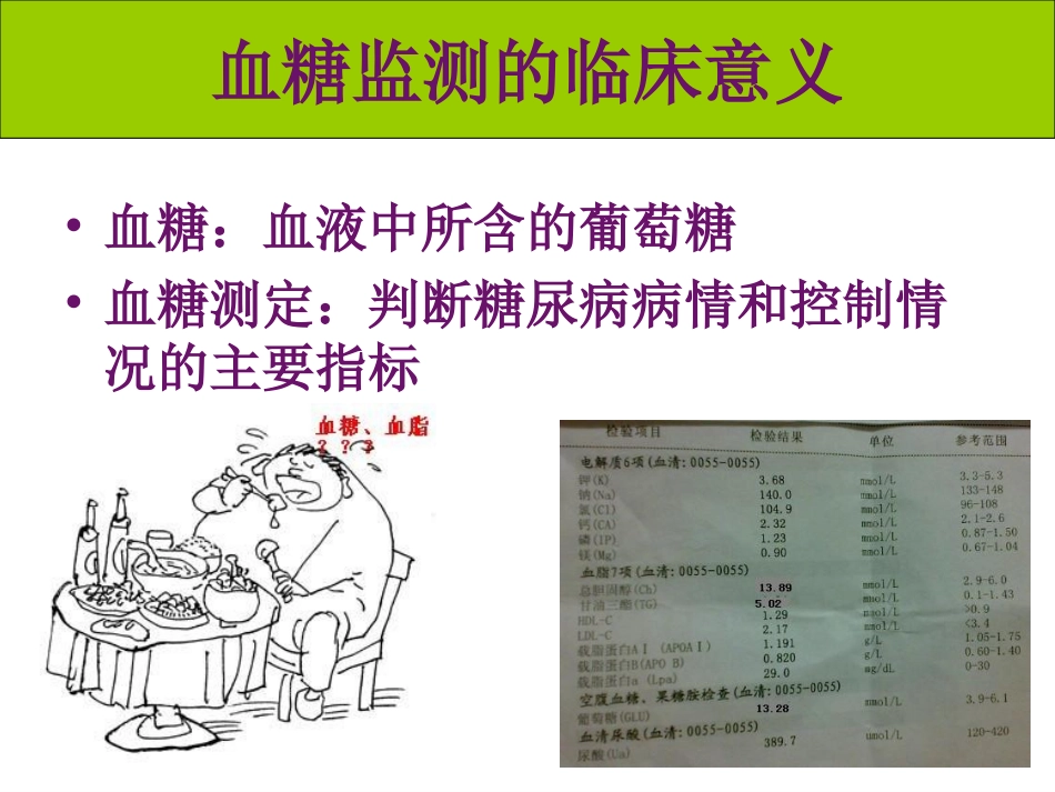 血糖监测仪的使用资料_第2页