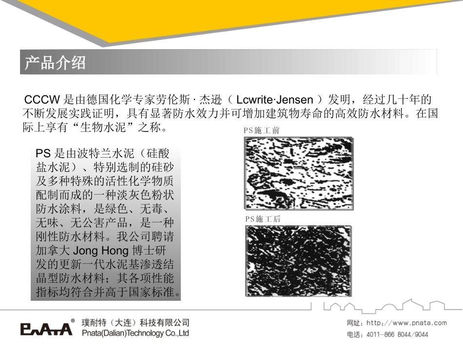 PS水泥基渗透结晶型防水涂料_第2页