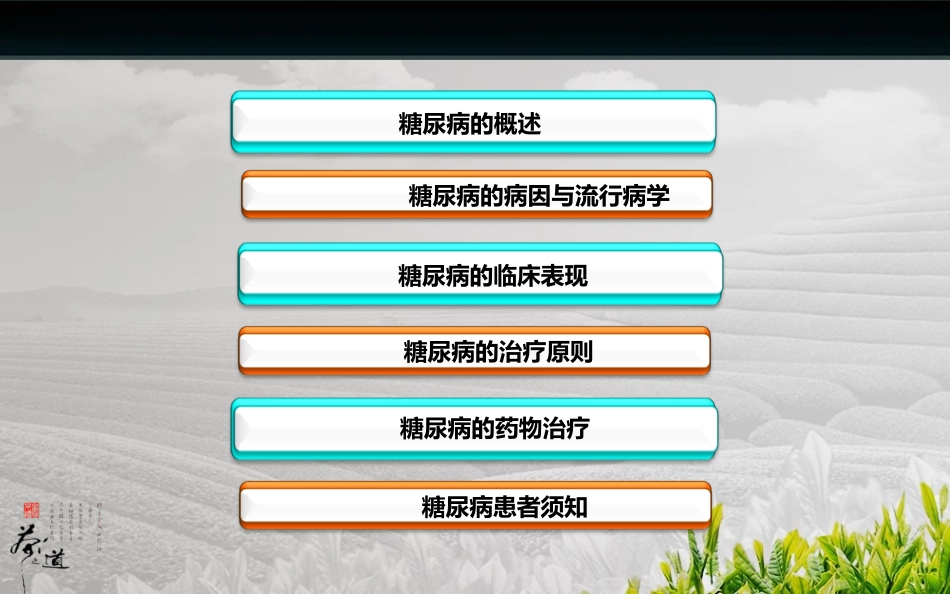 糖尿病与合理用药_第2页