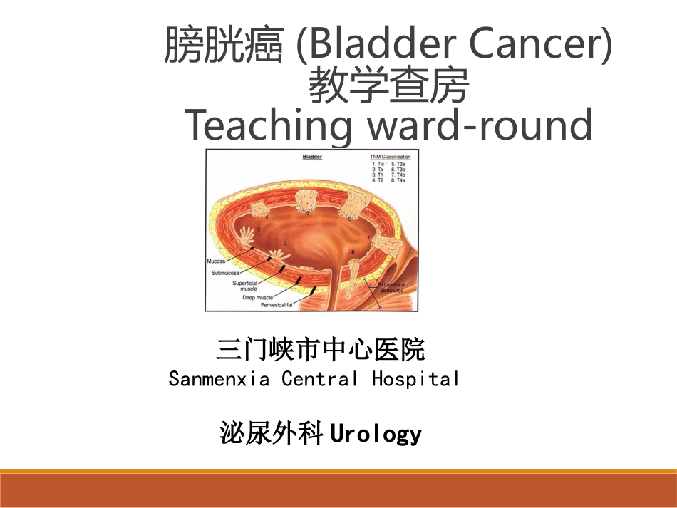 泌尿外科膀胱癌教学查房_第1页