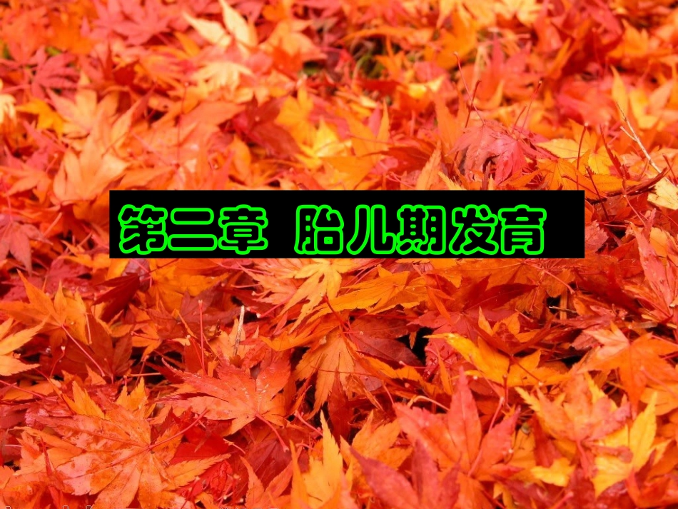 人体发育学第二章胎儿期ok_第1页