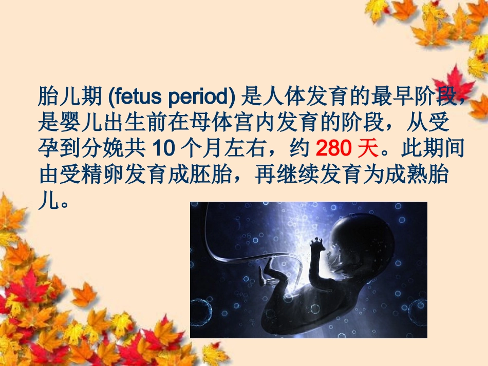 人体发育学第二章胎儿期ok_第3页