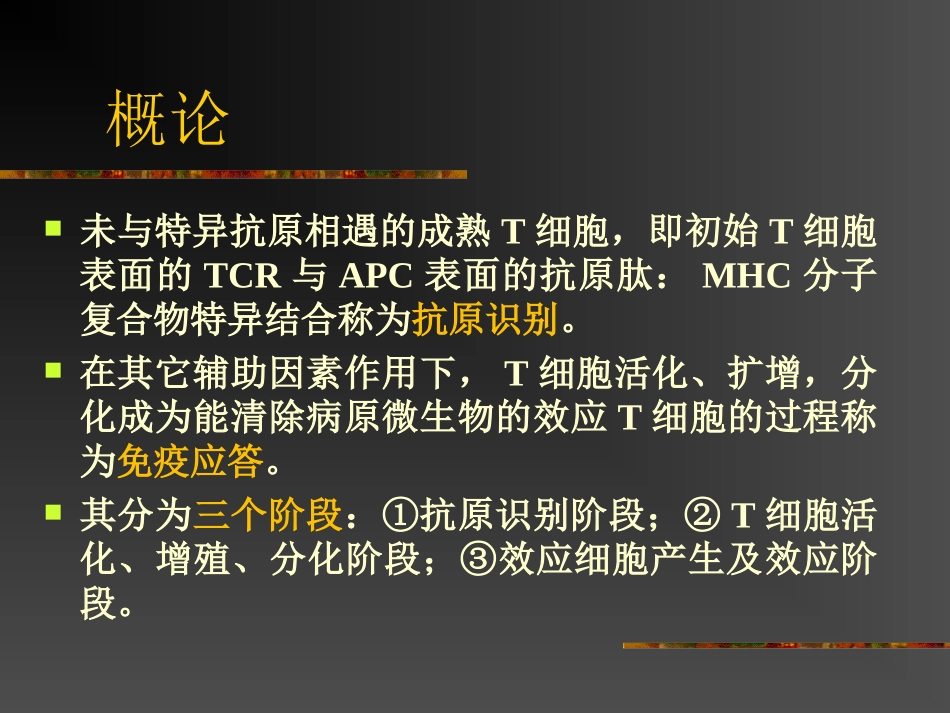 特异性T淋巴细胞应答_第2页