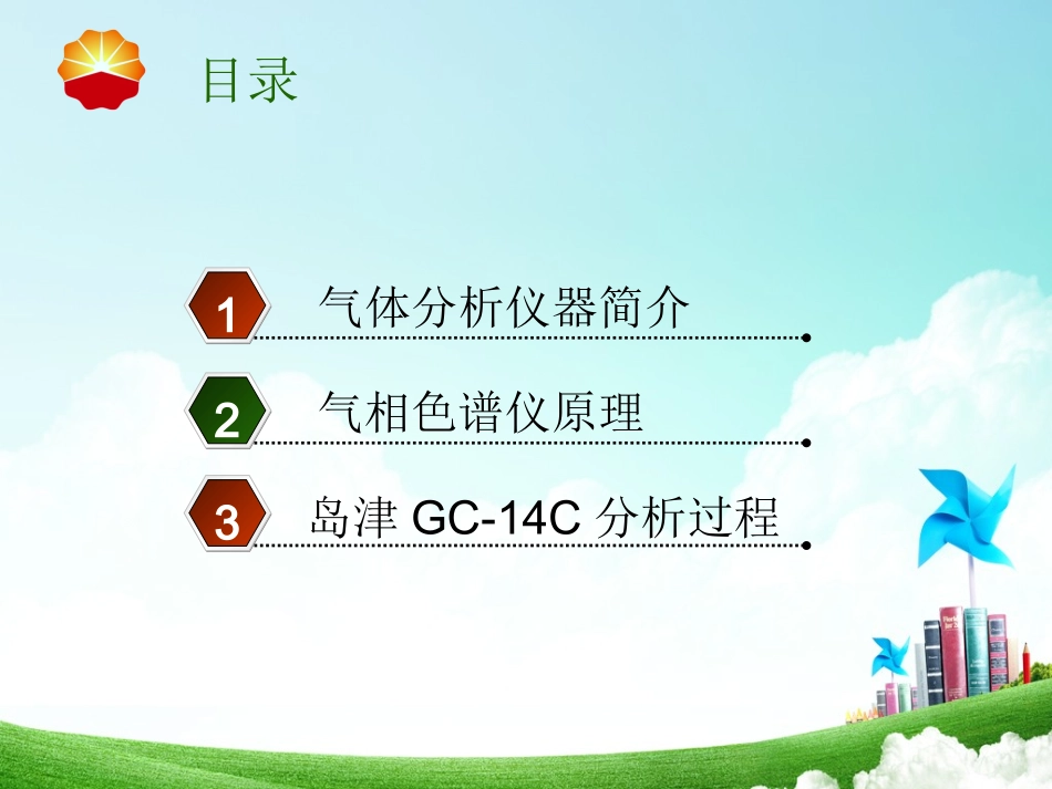 气相色谱氧含量可燃气分析_第2页