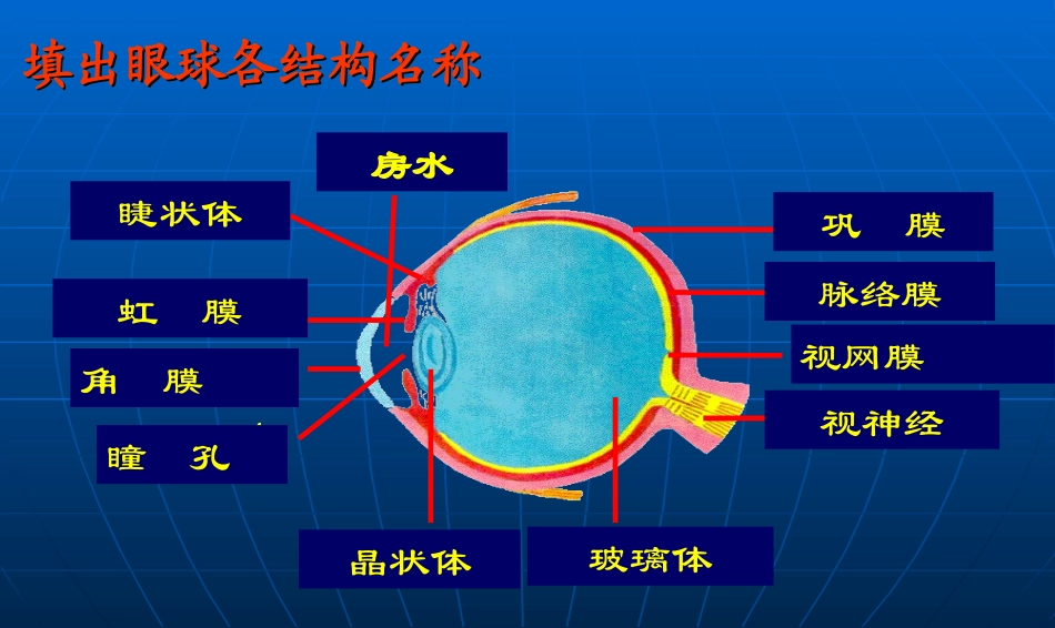 听觉--耳(5.27)_第2页