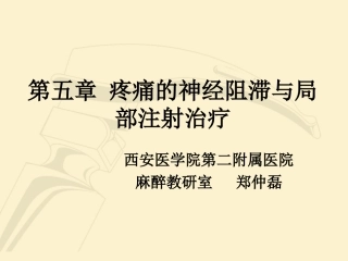 疼痛诊疗学神经阻滞