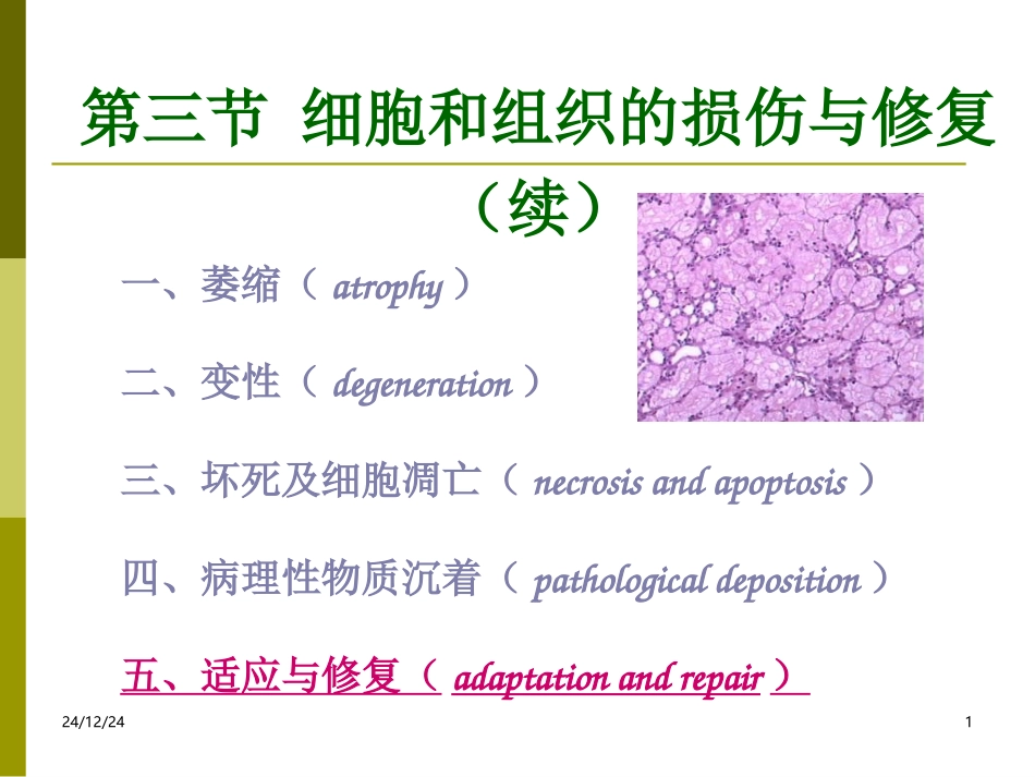 病理学(四)_第1页