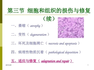 病理学(四)