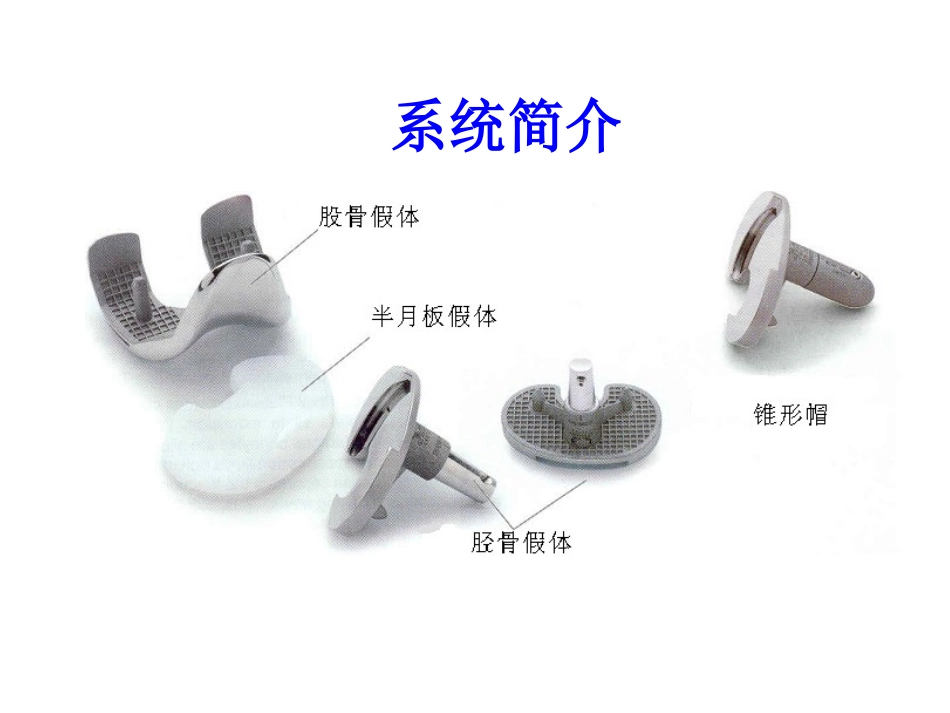 表面膝关节置换假体_第2页