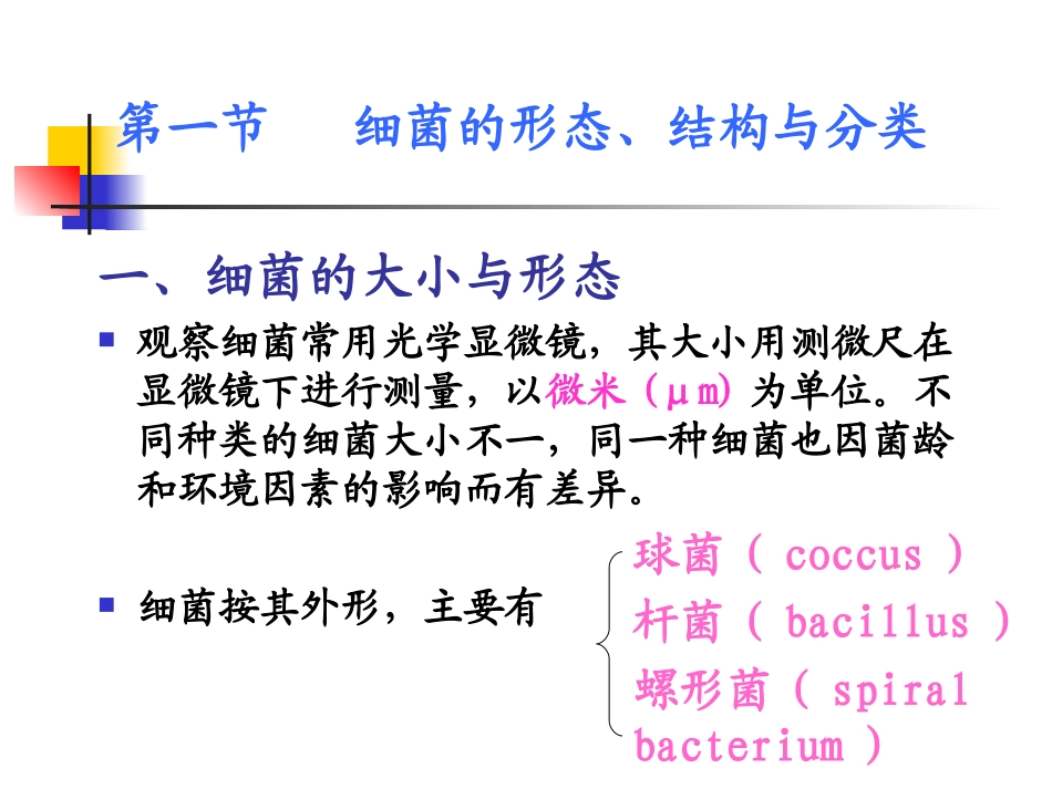 细菌形态和生理_第2页