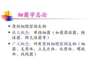 细菌形态和生理
