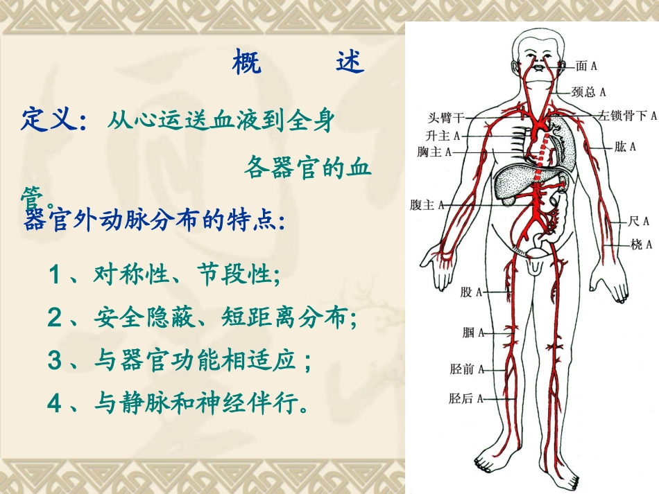 动脉20121128_第2页