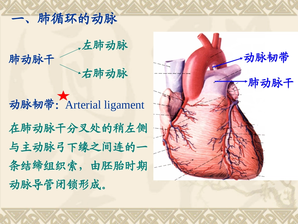 动脉20121128_第3页