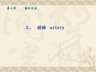 动脉20121128