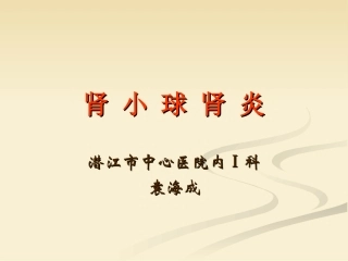 肾小球肾炎幻灯片