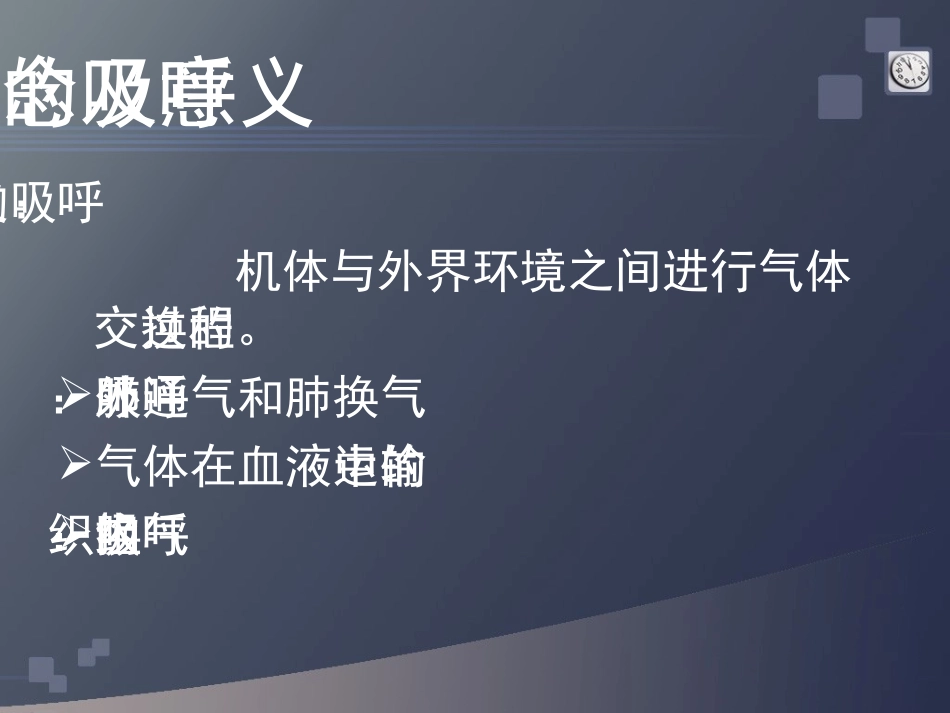 正常人体学-第六章-呼吸系统_第3页