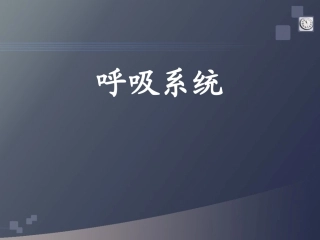正常人体学-第六章-呼吸系统