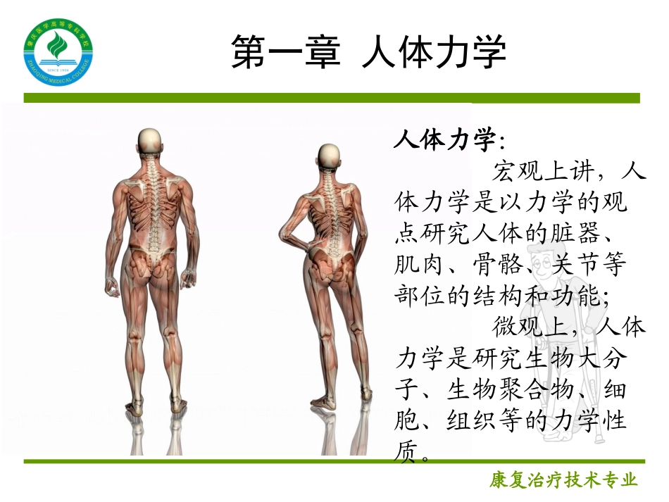 第一章人体力学肌肉的力学性质_第3页