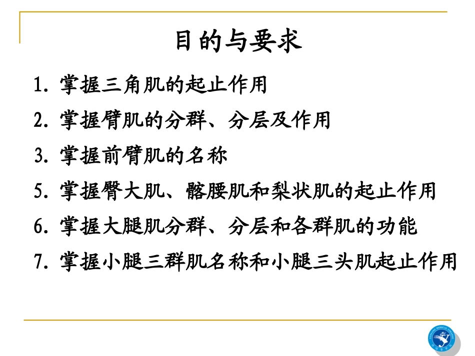 he四肢肌(双语本科).06ppt_第2页
