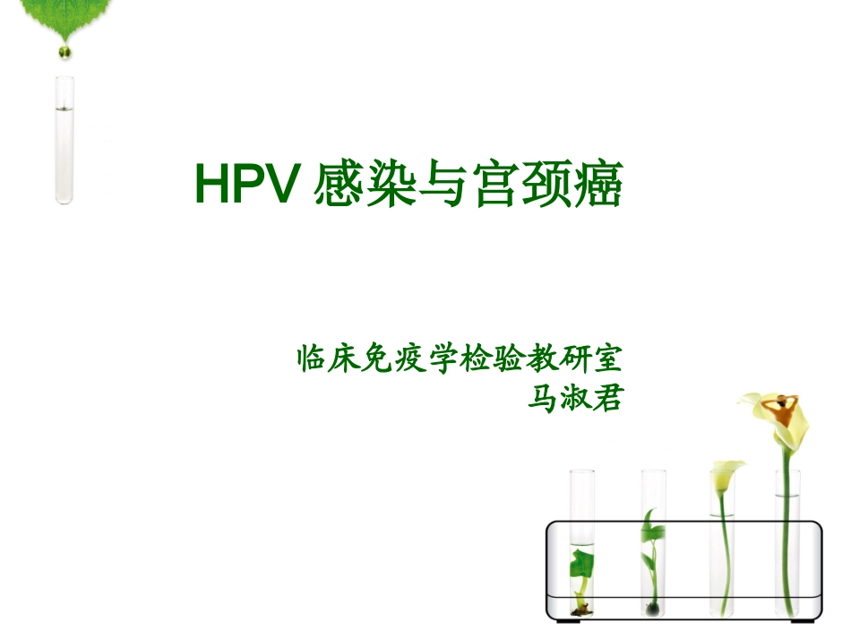 HPV感染与宫颈癌_第1页