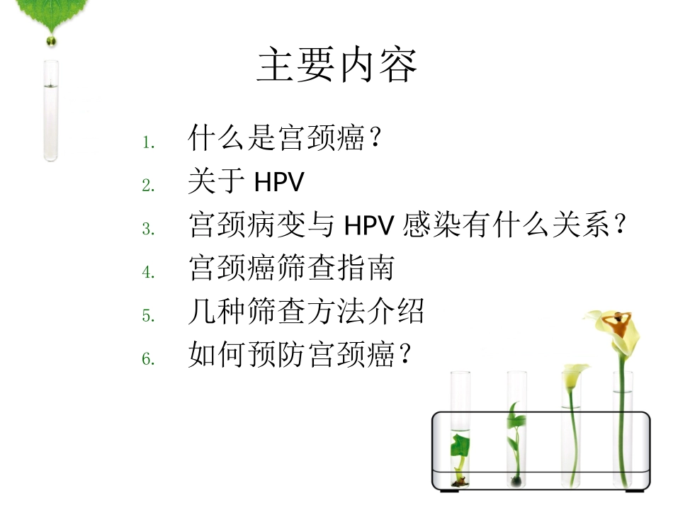 HPV感染与宫颈癌_第3页