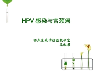 HPV感染与宫颈癌