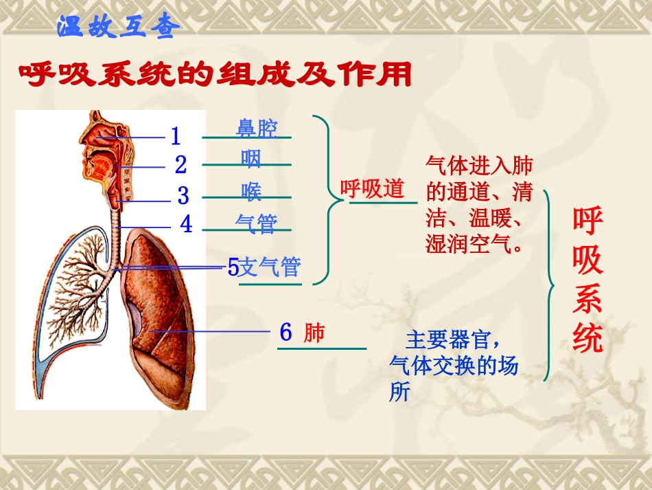 发生在肺内的气体交换PPT)_第1页