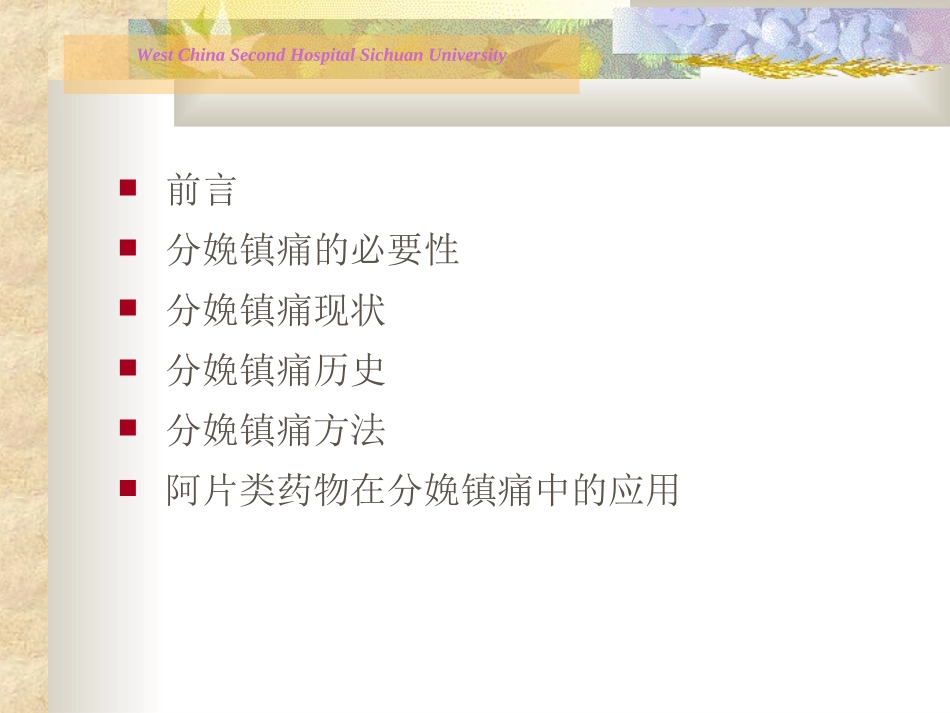 最新分娩镇痛_第2页