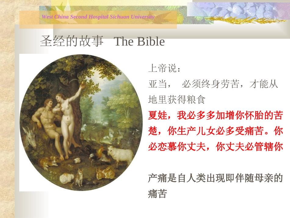 最新分娩镇痛_第3页