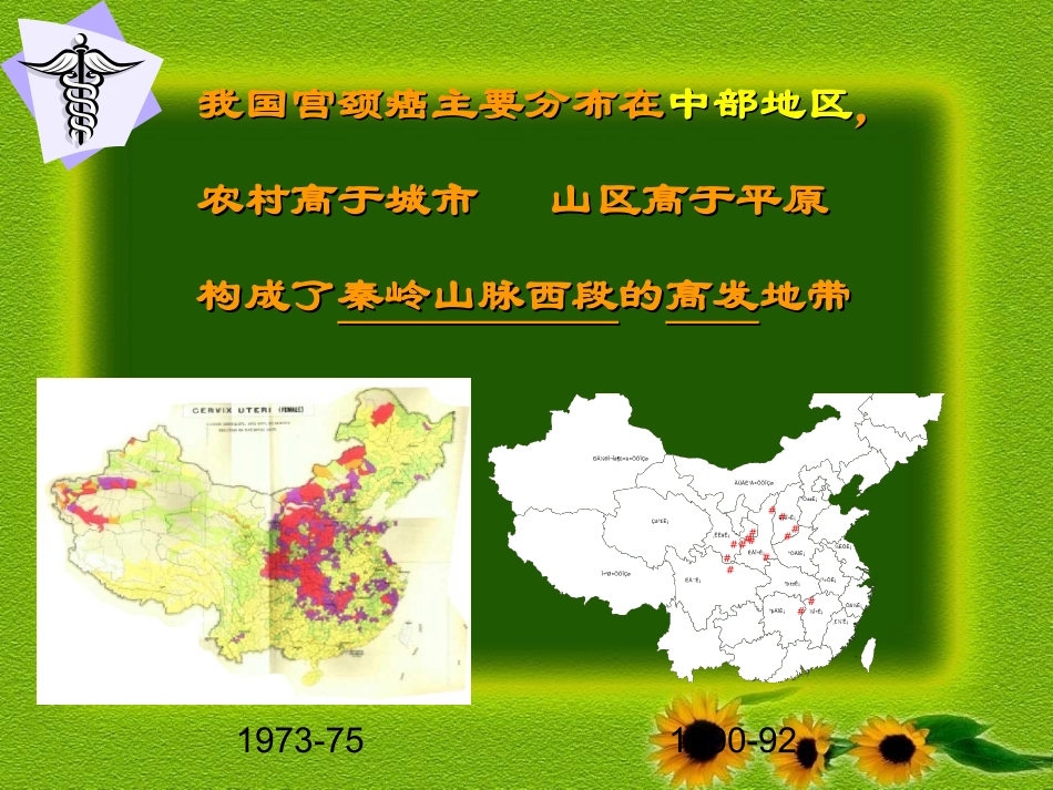 宫颈癌及相关问题研究进展_第3页