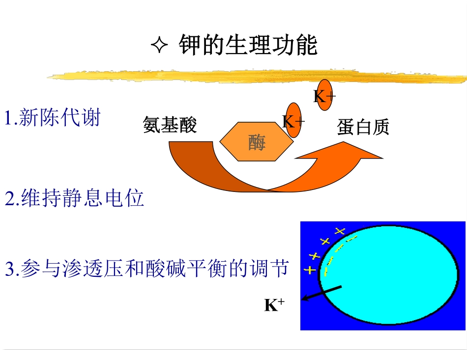 钾代谢紊乱f_第2页
