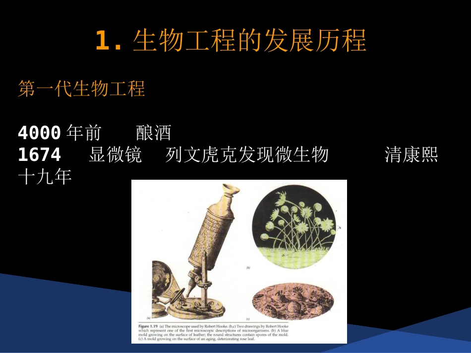 细胞工程-第一章-绪论_第3页