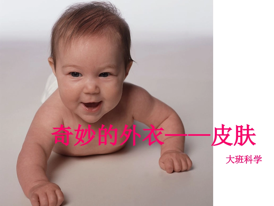 奇妙的外衣——皮肤_第1页