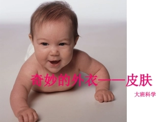 奇妙的外衣——皮肤