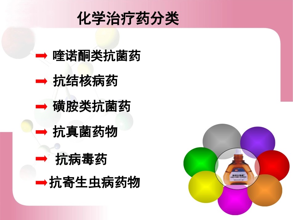 第九章：化学治疗药_第2页