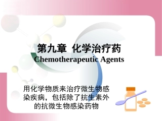 第九章：化学治疗药
