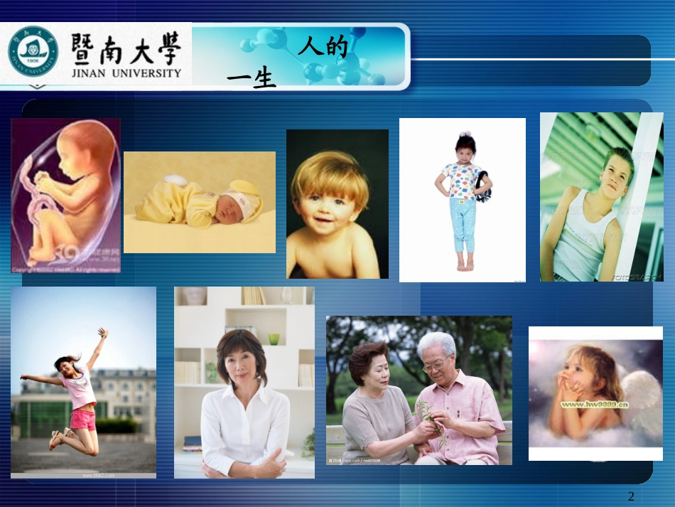 大学生的身体发育及其对心理的影响_第2页