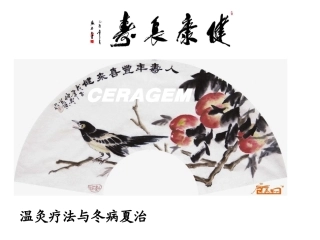 冬病夏治.ppt