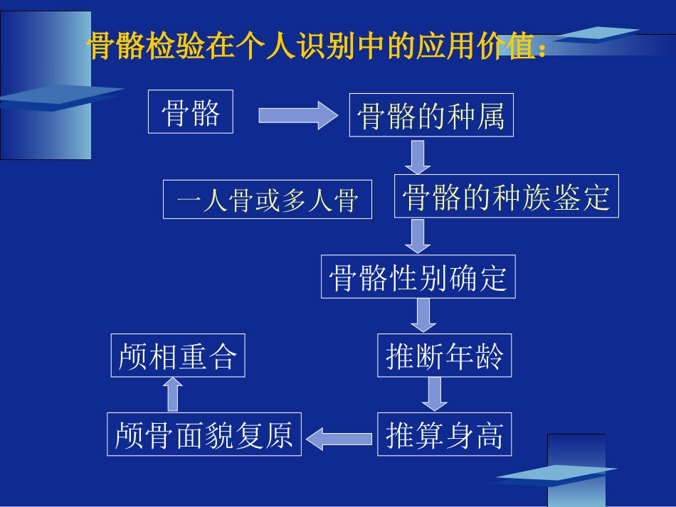 动物骨骼与人类骨骼的区别.._第3页