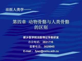 动物骨骼与人类骨骼的区别..