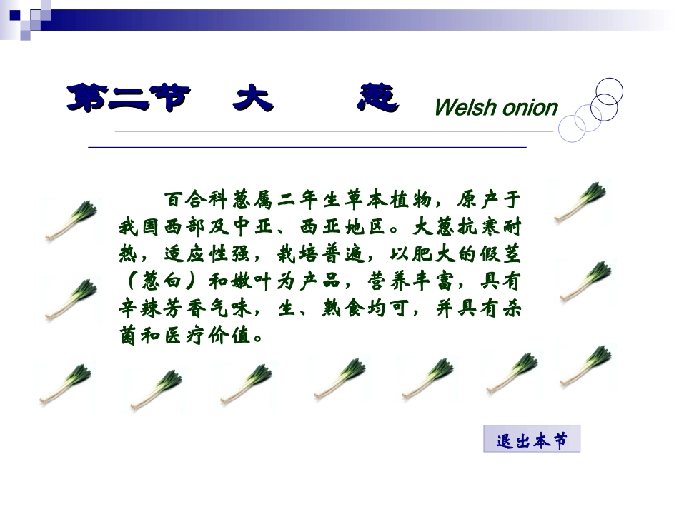 大葱生产栽培技术_第1页