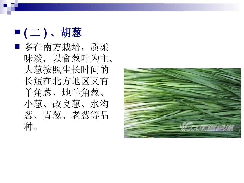 大葱生产栽培技术_第3页
