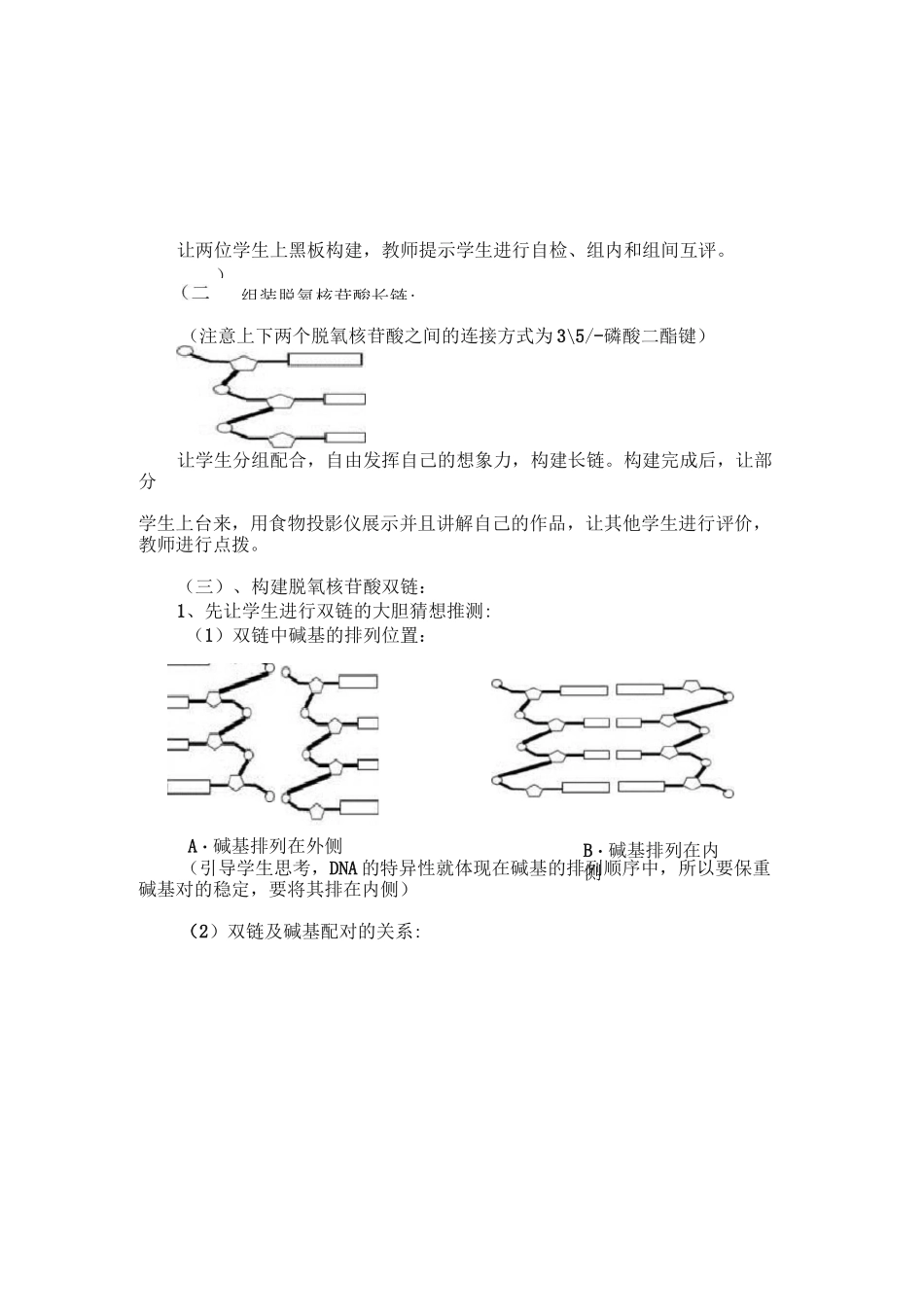 高中生物《构建DNA模型》教学设计_第3页