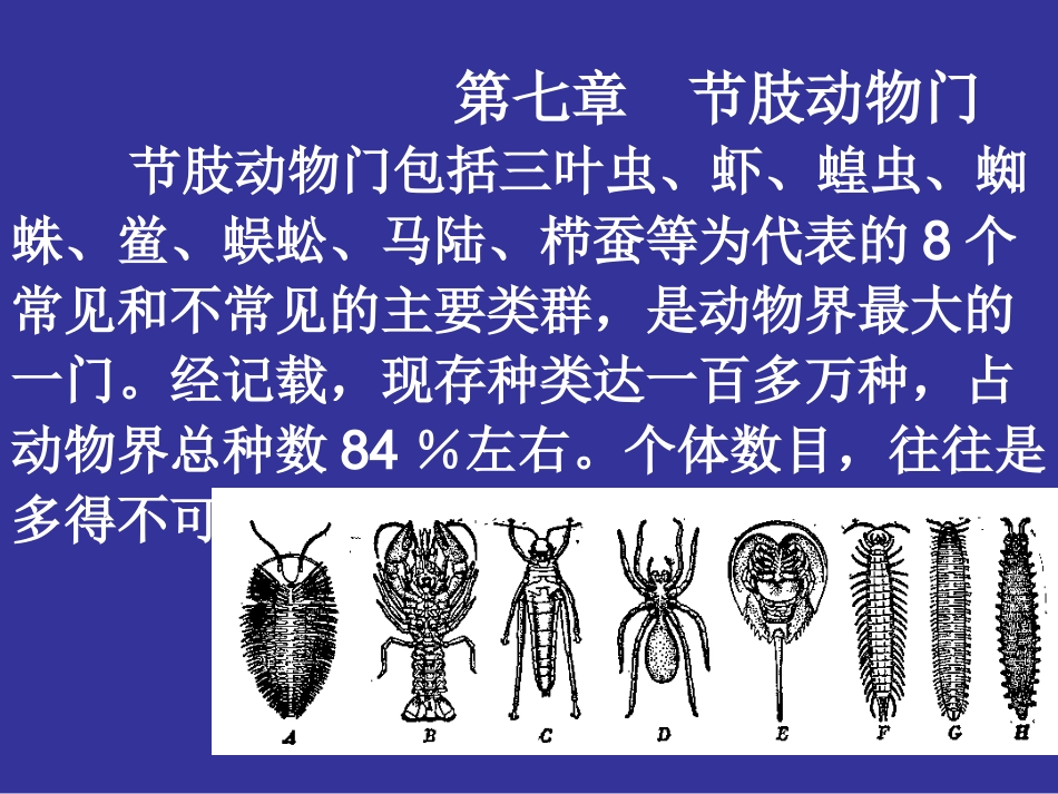 第七章 节肢动物门_第1页