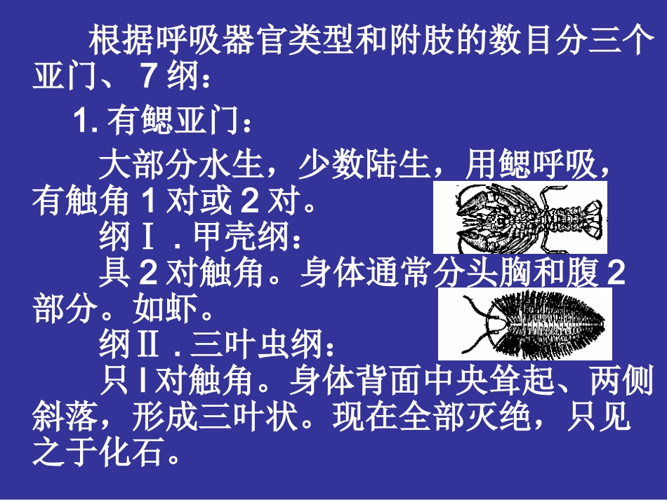 第七章 节肢动物门_第3页