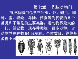 第七章 节肢动物门