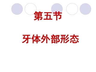 口解第二章(第五节)牙体外部形态