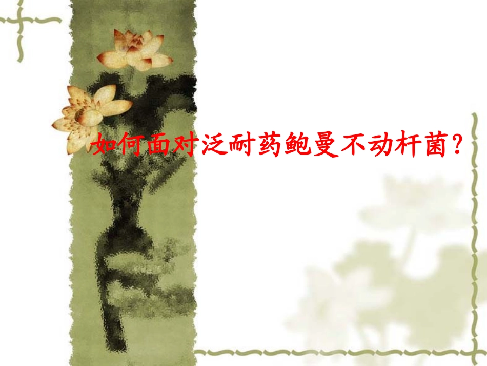 讲泛耐药鲍曼不动_第1页
