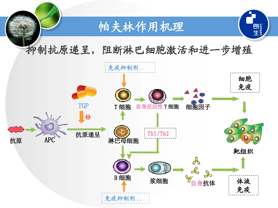 帕夫林临床应用探讨_第3页